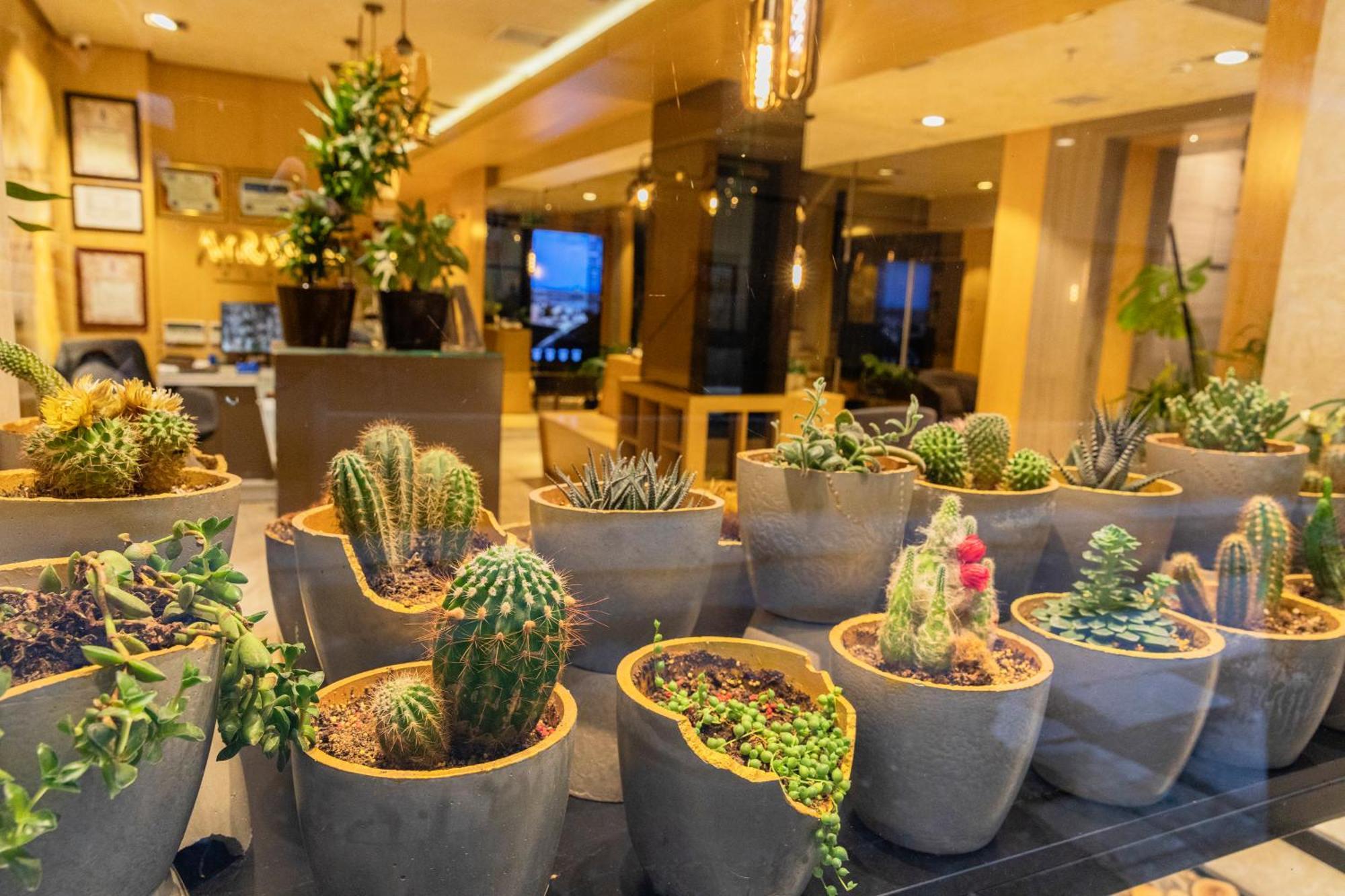 Ayramin Deluxe Taksim Hotel Provincia di Istanbul